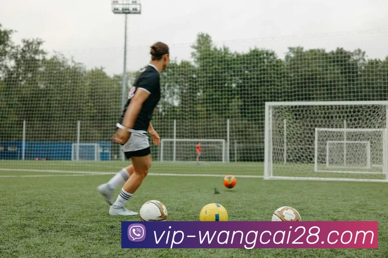 旺财28发展历程